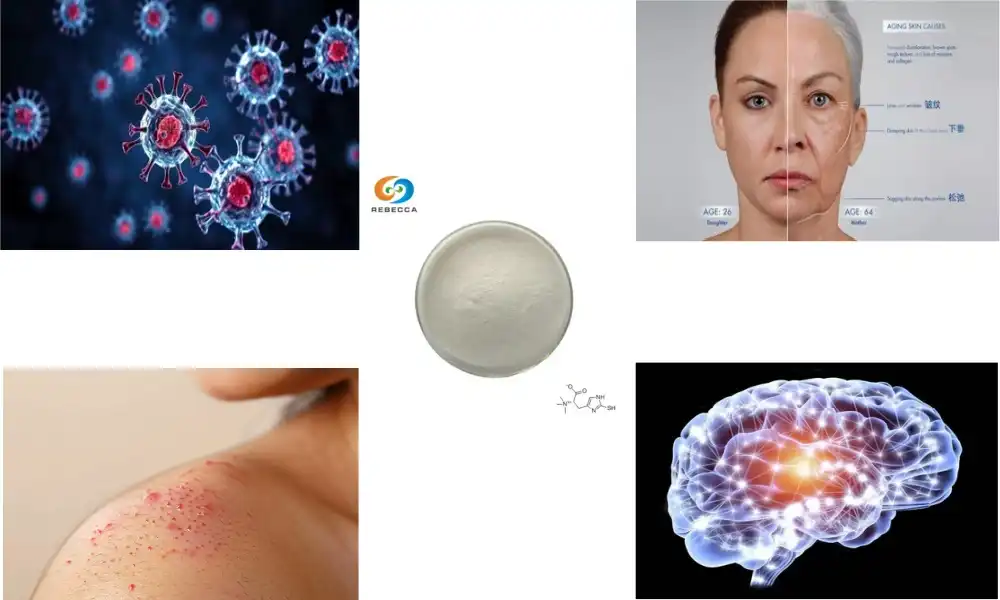 Key Uses of L-Ergothioneine in Modern Supplements Key Uses of L-Ergothioneine in Modern Supplements